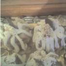 Prajitura rapida din cozonac