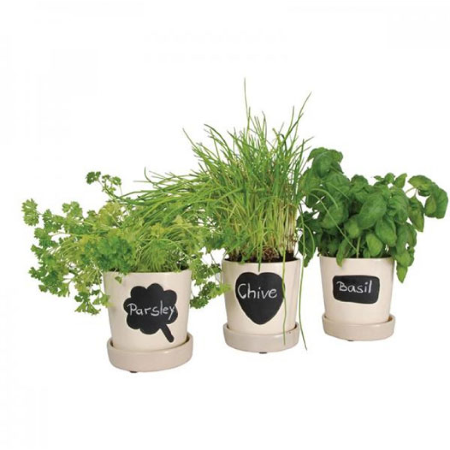 Set 3 ghivece pentru plante aromatice