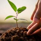 Îngrijește-te de viața ta și viața te va răsplăti când poate ea (și e momentul potrivit)