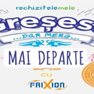 Succesul se construieste din greseli 