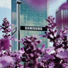 Samsung și LG îngroapă securea războiului