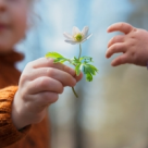 45 de proverbe indiene care sa iti trezeasca intelepciunea!