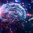 Expert neurochirurgie: rolul neuromonitorizării în tratarea tumorilor cerebrale