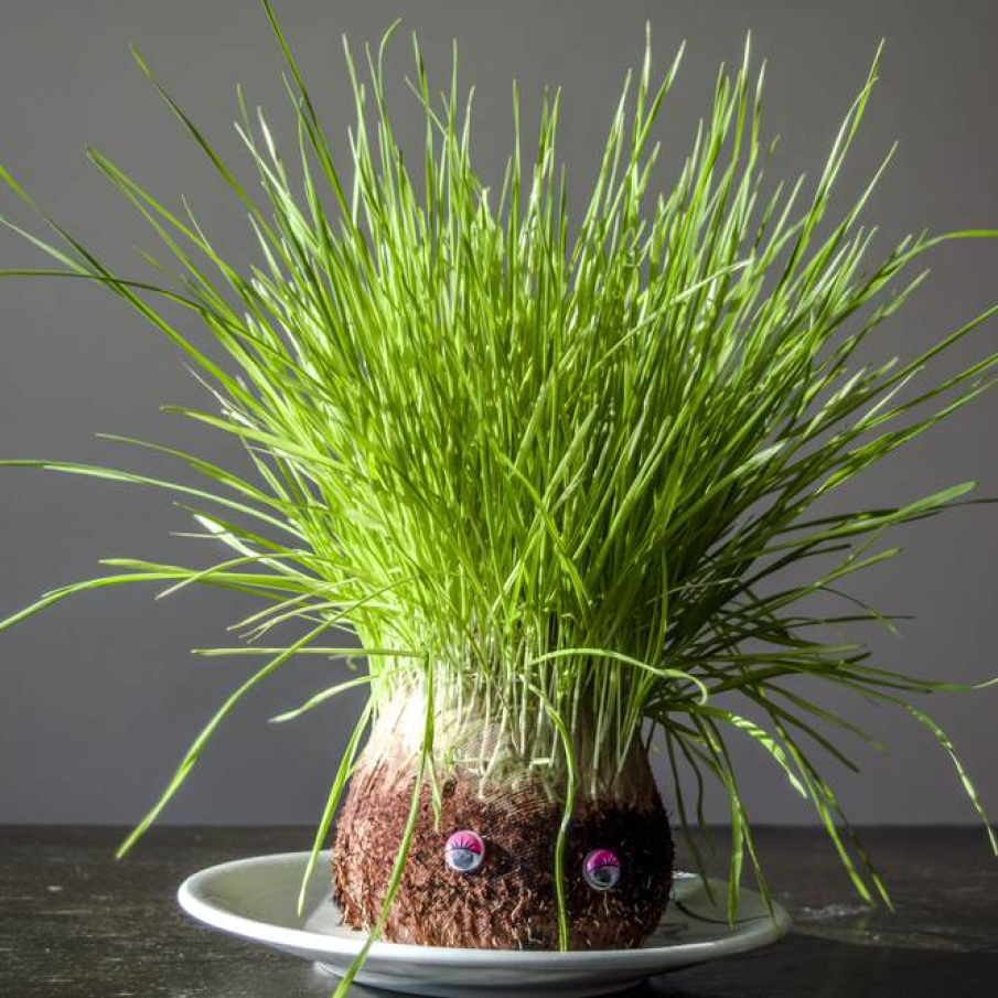 Traditii de sfantul Andrei: Papusa cu parul cool