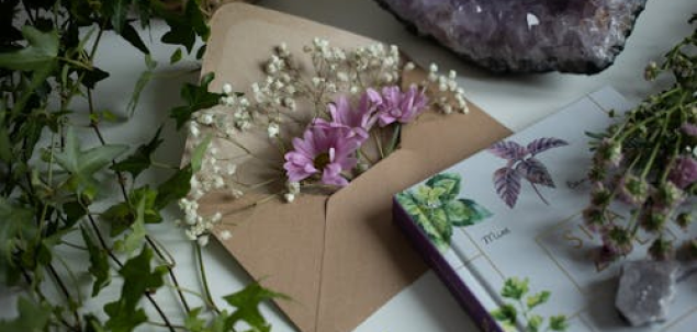 Unde ti-ai dori mai multa alinare?