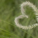 Relația platonică: rară, complicată, specială sau pe viață?