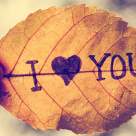 Scrisoare de dragoste către toamnă: confesiuni dintr-un anotimp al transformării 