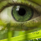 Cum sa folosesti Energia stramoseasca a Vietii in mod benefic 