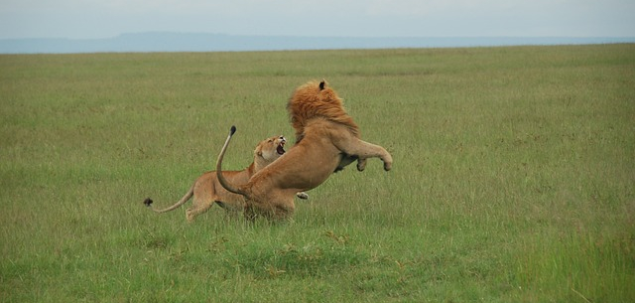 Cum rezolvati conflictele in cuplu?