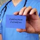 Ce este cyclospora și cum te poți proteja de acest parazit din alimente