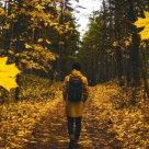 INVATA-MA! NU vreau INCA sa imi pleci