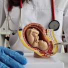 Îmbătrânirea placentei (calcifierea) – cauze și soluții