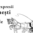 12 expresii romanesti si ce inseamna ele