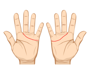 Cele doua linii se aliniaza perfect. 