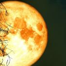 Luna plină a Recoltei de pe 2 septembrie: începe sezonul norocului și al schimbarii! 