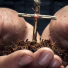 Vinerea Mare: Traditii si obiceiuri de Vinerea Seaca pentru sanatate si vindecarea sufletului!