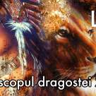 Horoscopul DRAGOSTEI 2024 LEU: relațiile se maturizează, iar iubirea se traduce în fericire fără margini