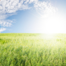 Cum sa fii un om mai bun (mai sanatos si mai fericit)