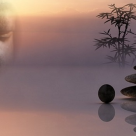 Cele 5 energii Buddha: Din ce familie energetica faci parte?