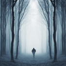 Fa o Plimbare virtuala prin padure si rezolva Psihotestul Verii!