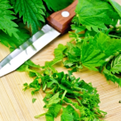 Urzicile sunt alimentul Postului Mare: Beneficii nemaipomenite pentru sanatate si alimentatie!