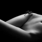 Cancerul ovarian, una dintre cele mai periculoase boli pentru femei