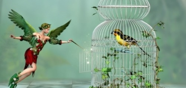 Cat esti de liber/a?