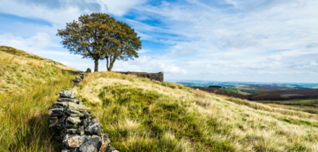 Completeaza titlul acestei carti semnate de Emily Bronte: La rascruce de...