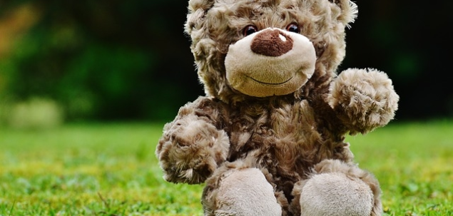 Prin ce cuvant ai descrie cele mai frumoase amintiri din copilaria ta?