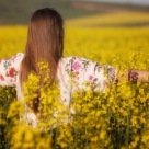 24 iunie, Ziua Internationala a Iei: De ce purtam IA?