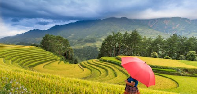 Ce fel de personalitate ai?