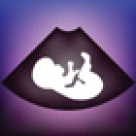 Blog de mamica: Ce contine morfologia fetala?