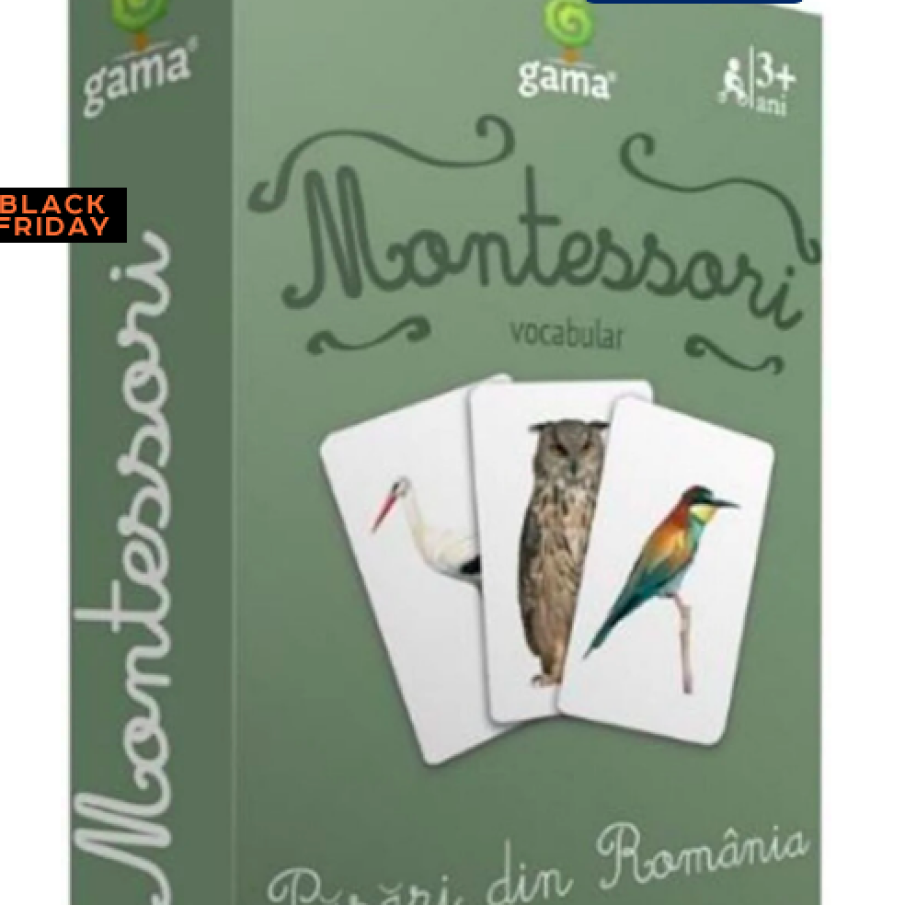 Montessori. Vocabular. Păsări din România 