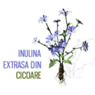 (P)Inulina te ajuta sa slabesti!