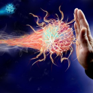 Ai grija de sistemul tau imunitar, ca el sa aiba grija de tine!