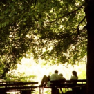 Ce inseamna a fi o familie fericita?