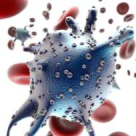 Meningita, una dintre cele mai fulminante infectii cunoscute in practica medicala