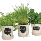 Util pentru plantele tale: 14 modele de ghivece