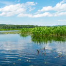 Protejează apa! Căci apele nu au glas să-și strige disperarea