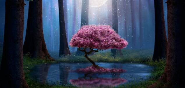 Ce iti trasmite aceasta imagine?