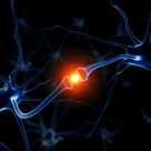 Norman Doidge: Creierul stie sa te vindece!