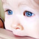 Alimentatia mixta a sugarului