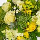 Noua colectie Greenery, manifestul Floria pentru natura, viata, prospetime