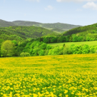 Primavara in lume: 12 imagini superbe, care iti vor taia respiratia 