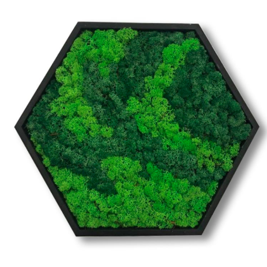 Tablou hexagonal cu licheni stabilizați, Mușchi naturali, Ramă lemn, 20 cm x 16 cm, Verde deschis / Verde închis