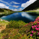 Romania ABSOLUT Magica: 15+ motive pentru care strainii vor sa vina aici!