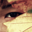 Iubirea sub lupa astrologiei chinezesti: Afla care sunt Punctajele Personale de Compatibilitate!