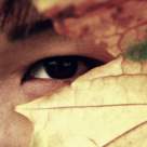 Iubirea sub lupa astrologiei chinezesti: Afla care sunt Punctajele Personale de Compatibilitate!