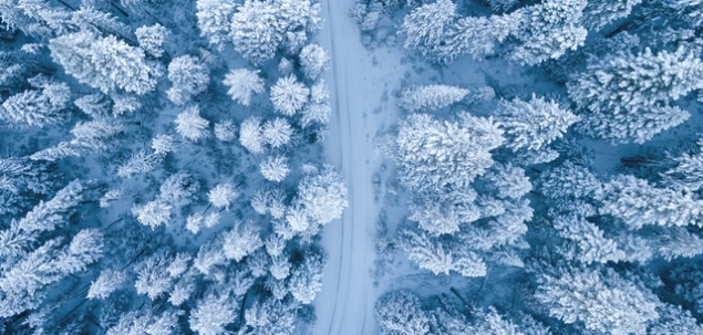 Care este anotimpul tau preferat?