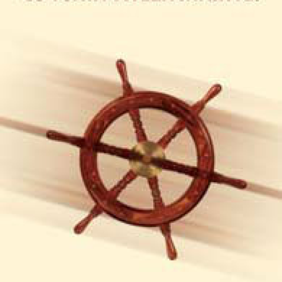 u toata viteza inainte! - Lasa-te condus de visul tau pentru a obtine maximum de succes si pentru a trai viata pe care ti-o doresti ! de Joyce Weiss